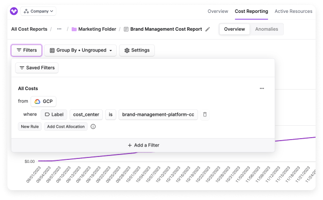 A Cost Report for the Brand Management team in the Vantage console. The filter is set to GCP with a label key of cost_center and a label value of brand-management-platform-cc.