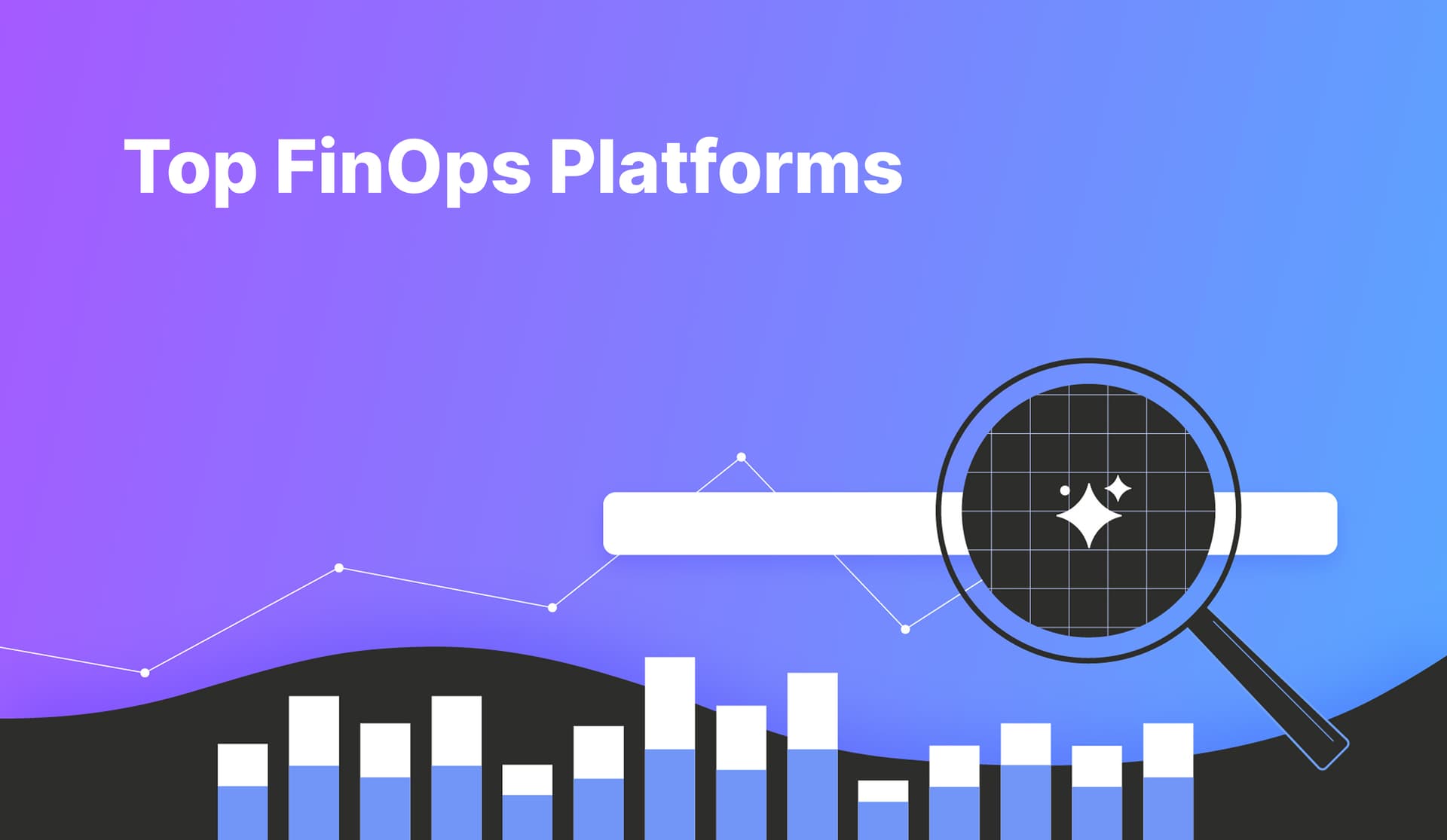 Top FinOps Platforms